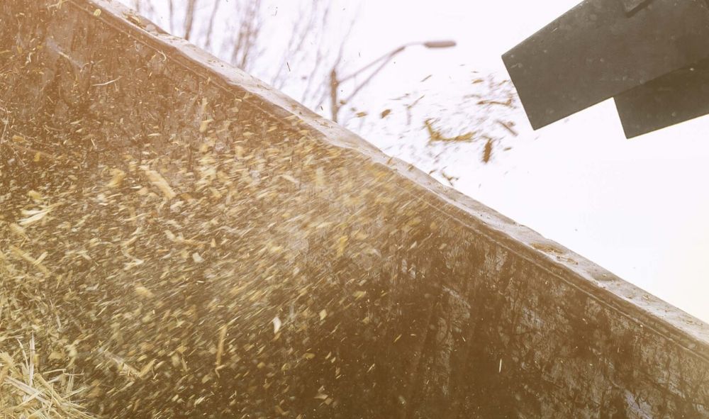 Guía compra biotrituradoras