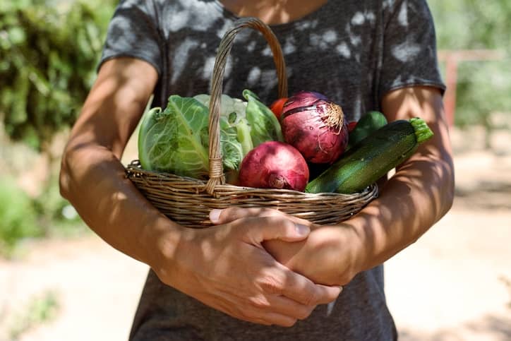 Huerto urbano vegetales