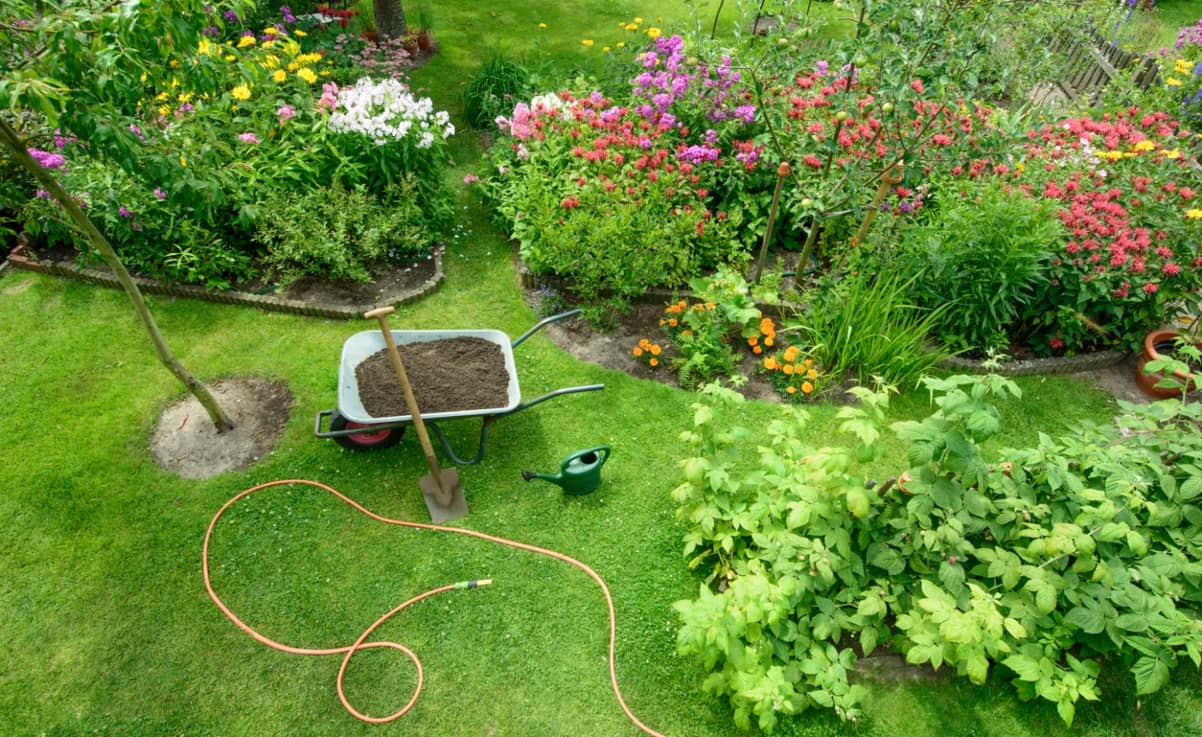 Cómo plantar césped tú mismo