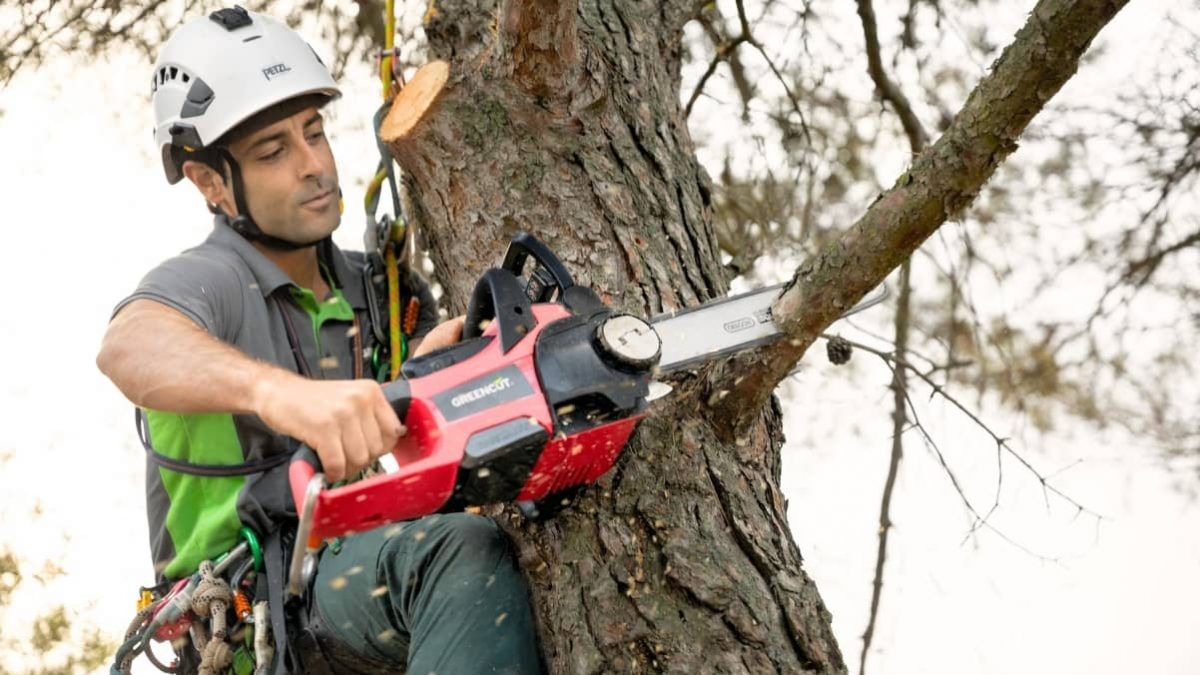 Motosierra a batería: ¿Por qué comprar? - Blog del héroe Greencut