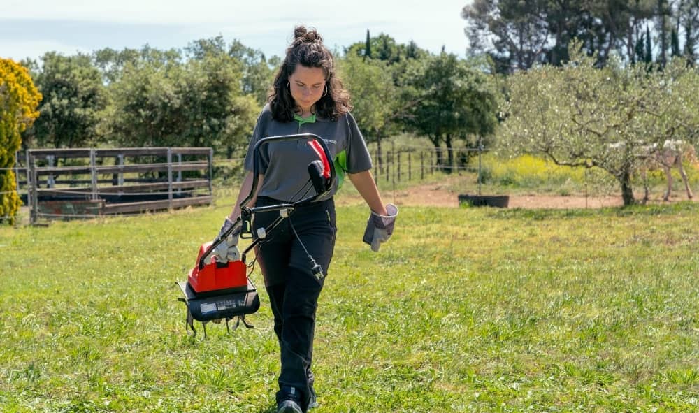 motoazada eléctrica para tu jardín