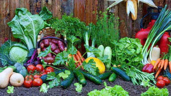 Agricultura ecológica ventajas y desventajas conocer