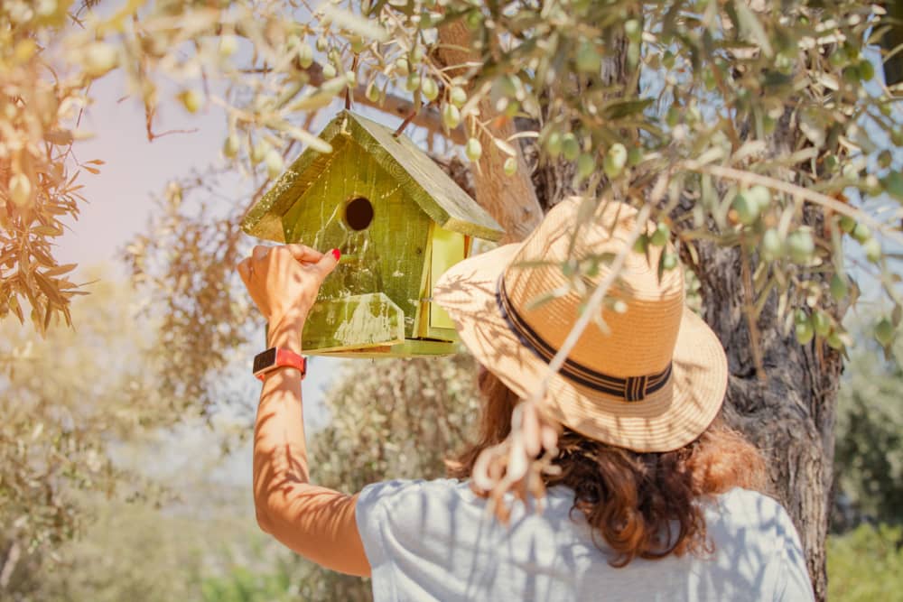 cómo hacer casita para pájaros colocar