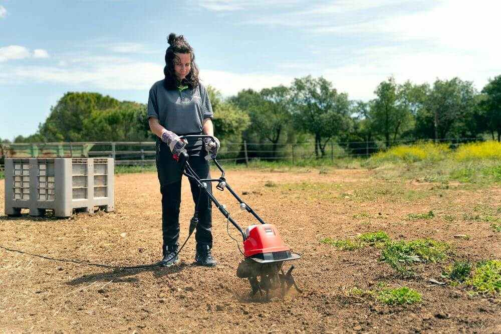 Como plantar un huerto semillas

