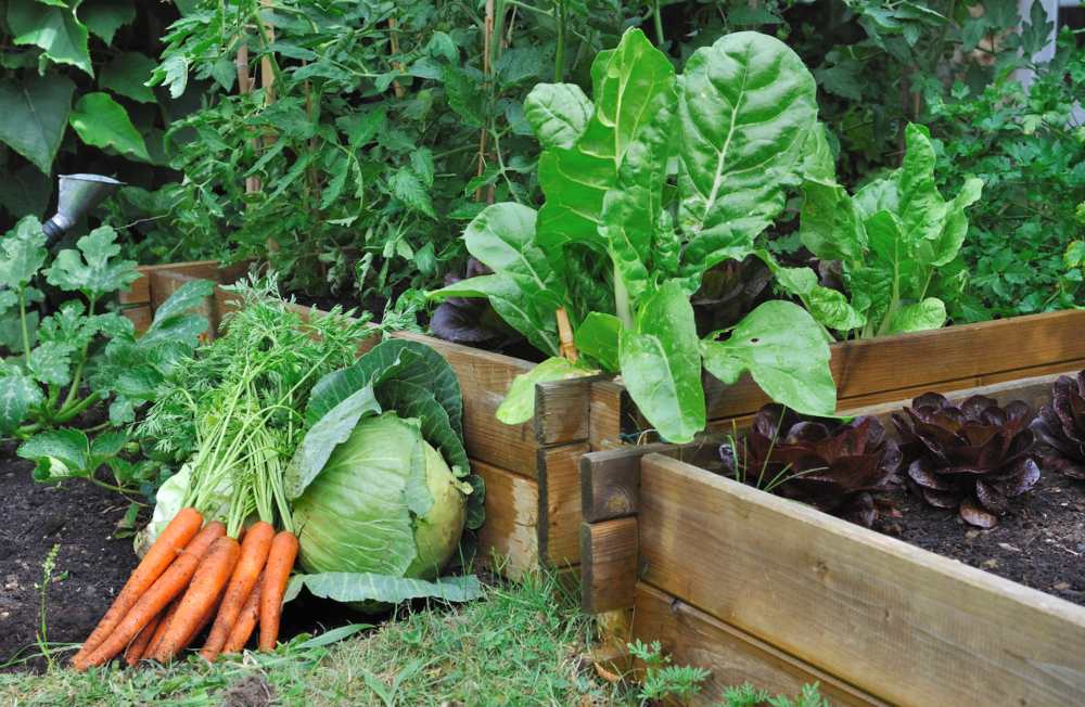 ventajas terrazas jardin