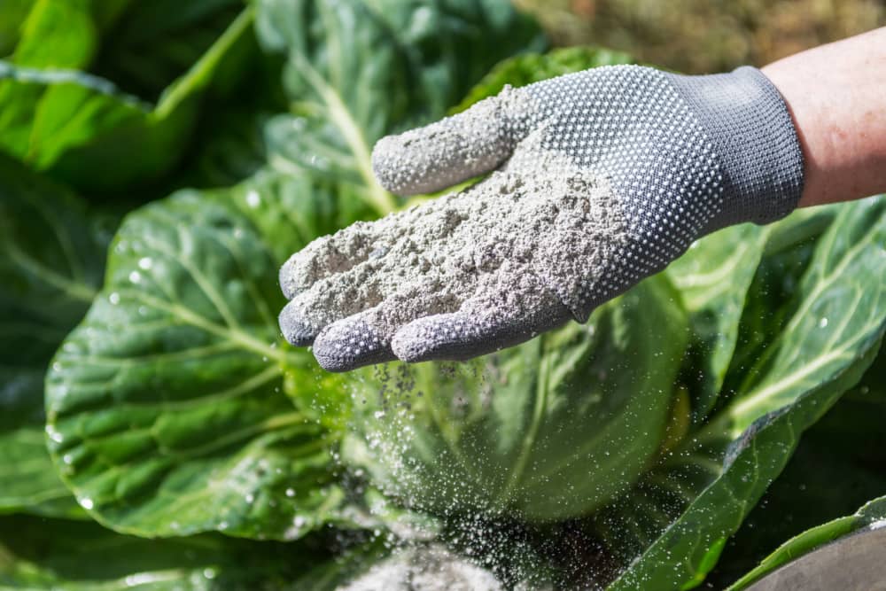 Aprovecha la ceniza como abono para potenciar el crecimiento de tus plantaciones