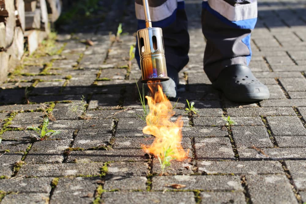 herramientas para quitar malas hierbas, quemador