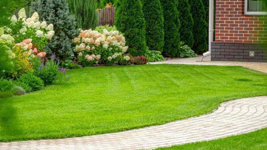 Crear un macizo de flores