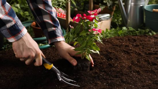 Ideas de regalos para jardineros