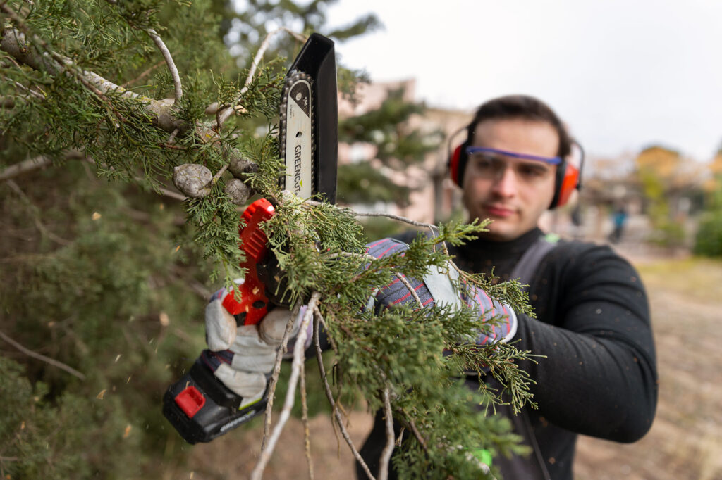 Hombre con equipo de protección adecuado para poda de árboles. 