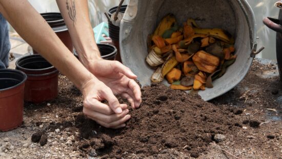 como usar los restos para compost