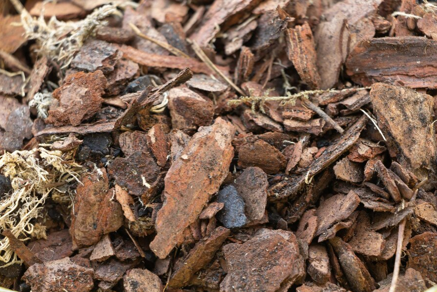 ejemplo de como hacer mantillo para el jardín con restos de poda