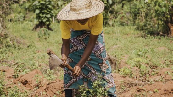 El desafía de las mujeres rurales por la igualdad y los derechos humanos