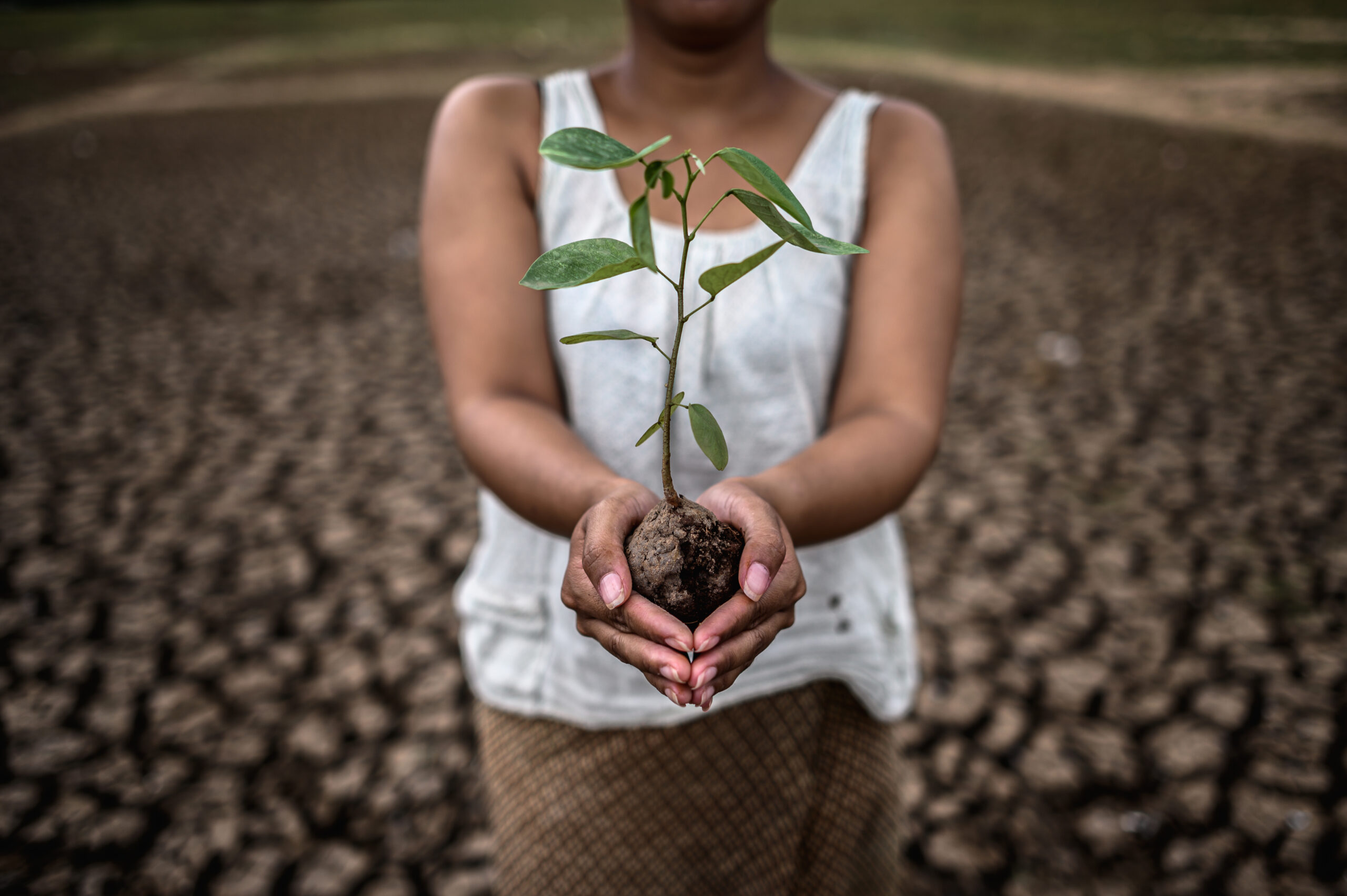 Una mujer con una planta en la mano en medio de un terreno seco