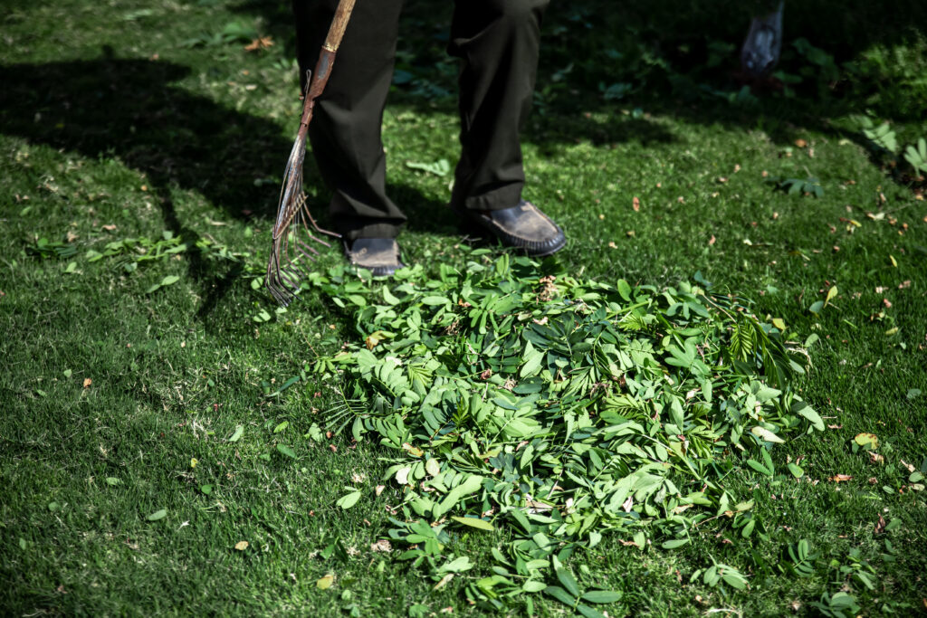 hombre recogiendo hojas del jardín para hacer compost