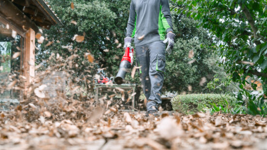 Limpia tu jardín para prevenir incendios