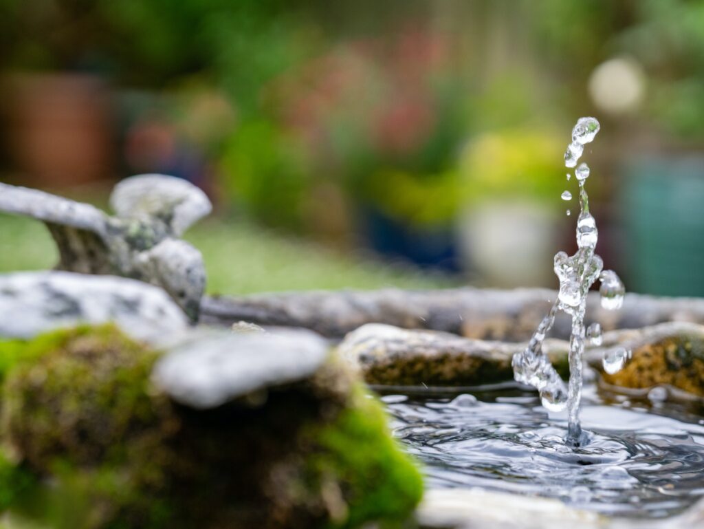 Ideas refrescantes para tu jardín en verano: Cómo aprovechar al máximo la temporada