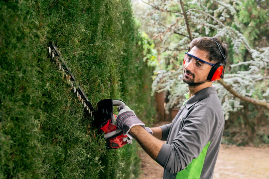 Qué herramientas necesitas para ser un perfecto jardinero